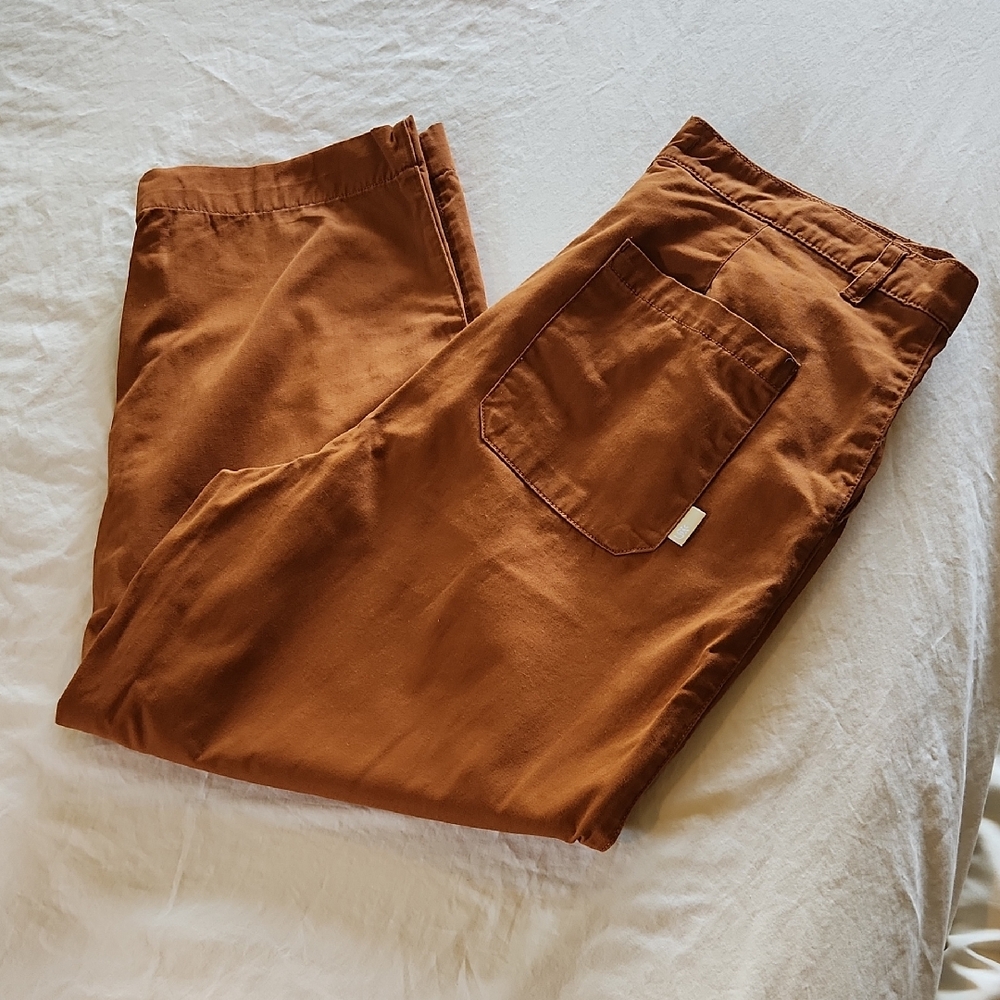 Urban Outfitters Brown Chino Pants